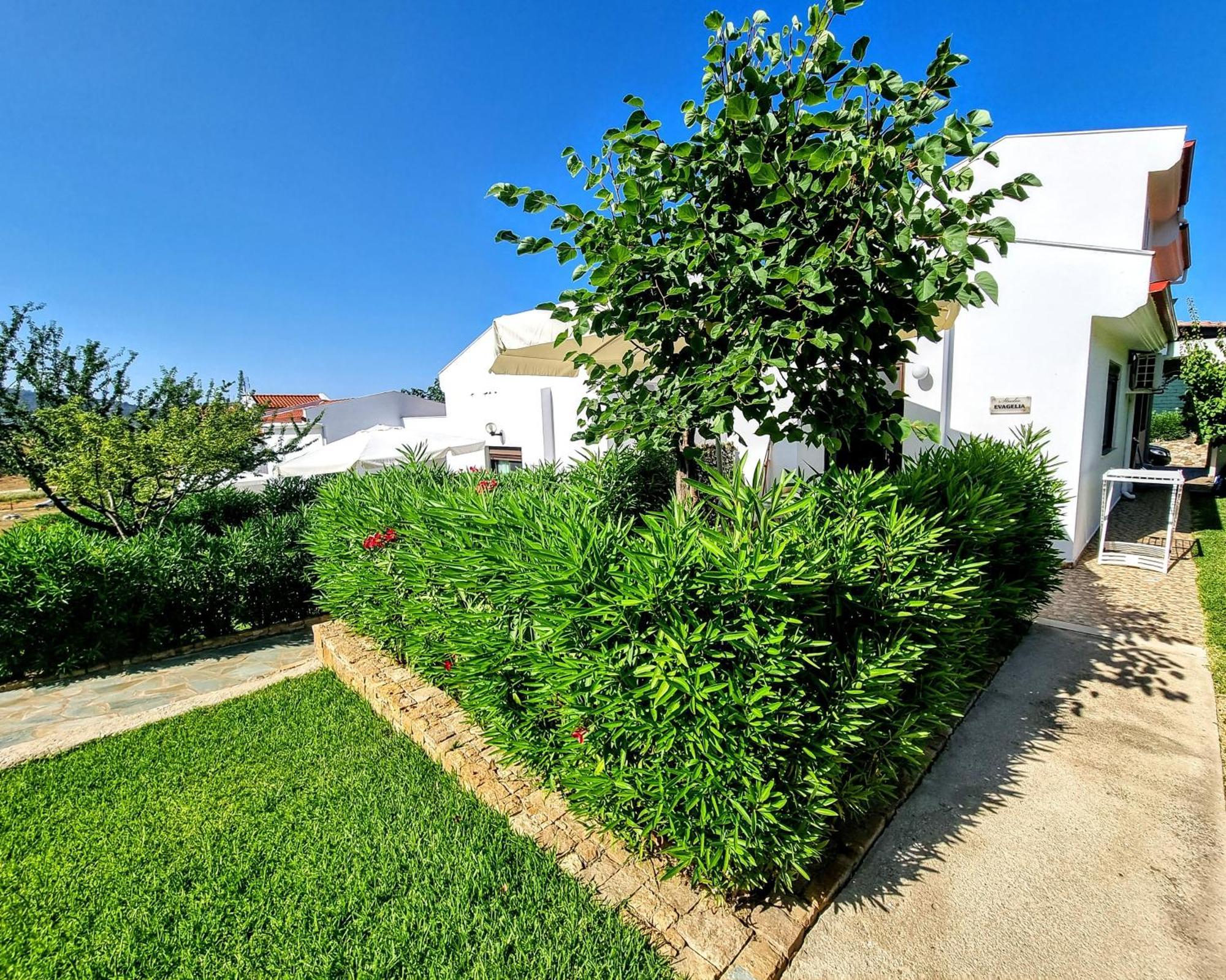 Ktima Amitsa Studios&Apartments Sarti Exterior foto
