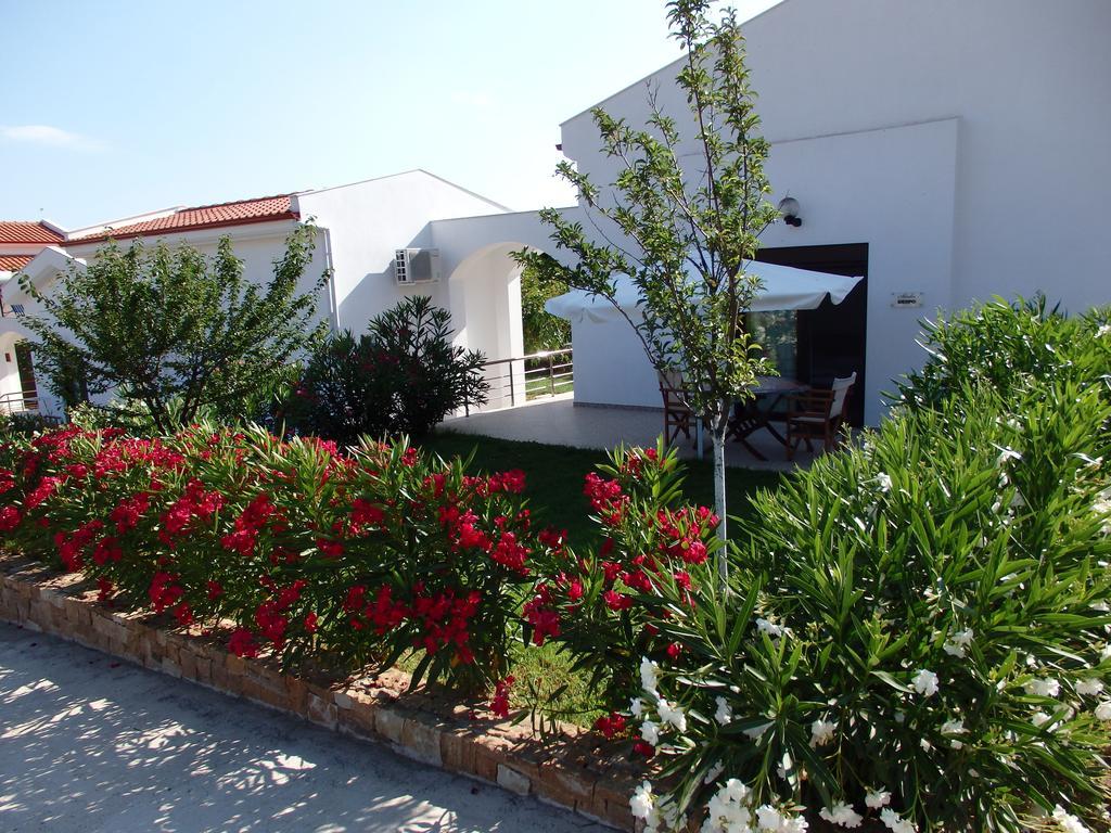Ktima Amitsa Studios&Apartments Sarti Habitación foto